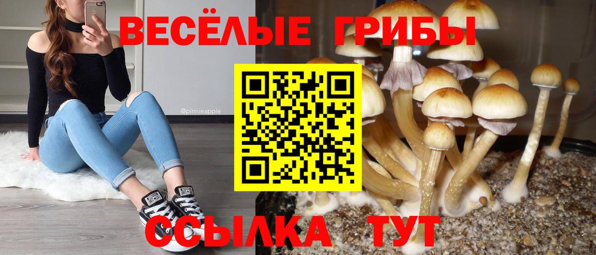 Галлюциногенные грибы GOLDEN TEACHER Лосино-Петровский